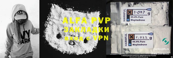 сатива Аркадак