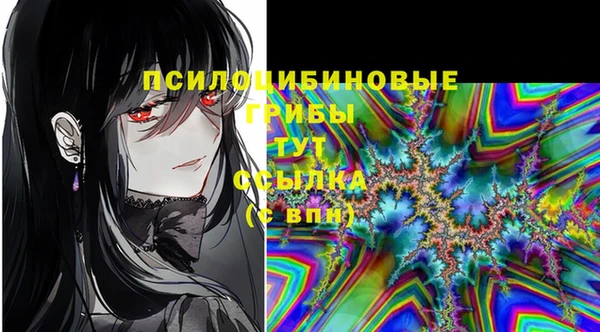сатива Аркадак