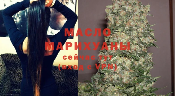 гидра Арсеньев