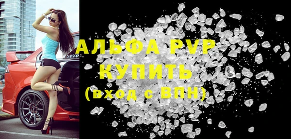 сатива Аркадак