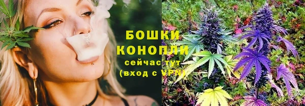 сатива Аркадак