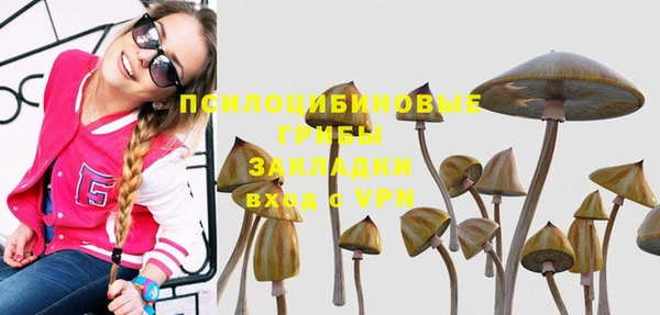 гидра Арсеньев