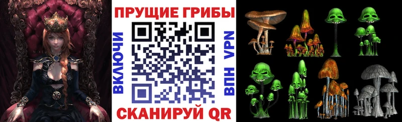 наркошоп  Прохладный  Галлюциногенные грибы прущие грибы 